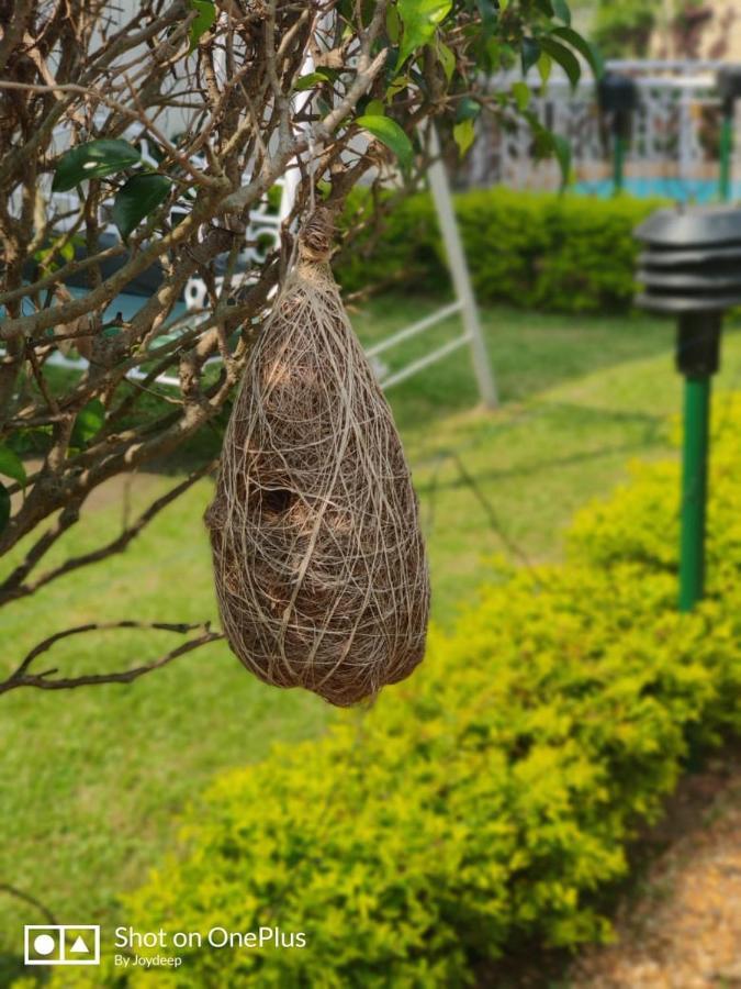 New Hemanjali Resort Bolpur Ngoại thất bức ảnh